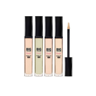 Korean Skincare - Kbeauty - ETUDE HOUSE Big Cover Skin Fit Concealer PRO 7g 6 Colors - Hohtava