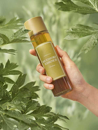 Korean Skincare - Kbeauty - [I'M FROM] Mugwort Essence 160ml - Hohtava