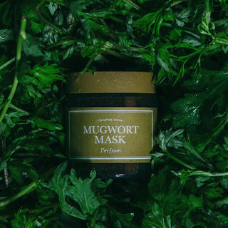 Korean Skincare - Kbeauty - [I'M FROM] Mugwort Mask 110g - Hohtava